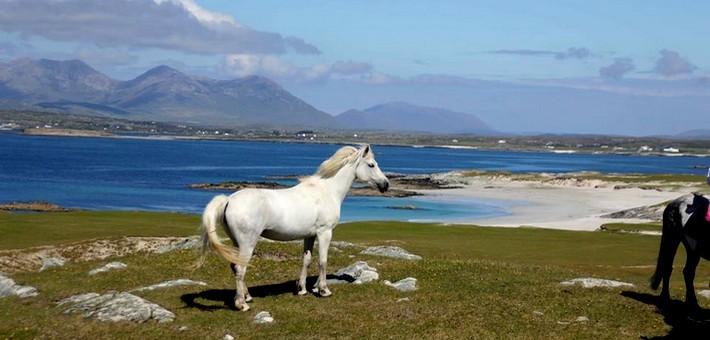 Le Connemara