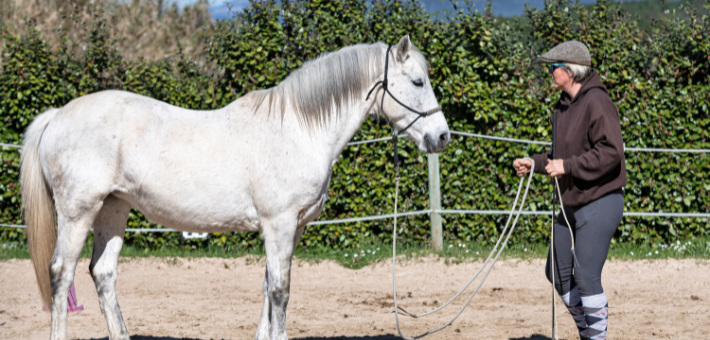 L'équitation éthologique en France 