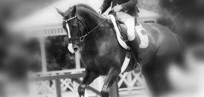 Histoire de l'Équitation Olympique