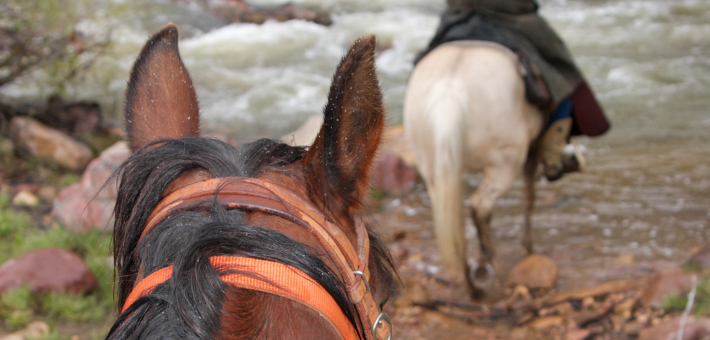 Randonner à cheval par mauvais temps - Nos conseils pour voyager par temps de pluie 