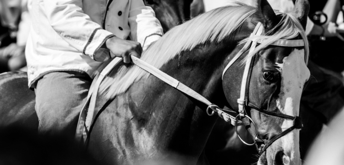 Palio di Siena, Italie