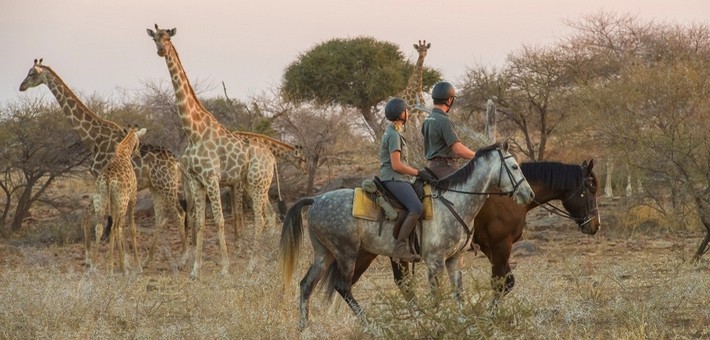 Equipements et accessoires pour une rando à cheval en Afrique et Moyen-Orient 