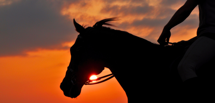 Les Expériences Inoubliables d'un Safari à Cheval au Kenya