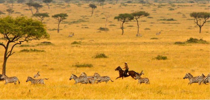 Pourquoi Choisir le Kenya pour un Safari à Cheval ?