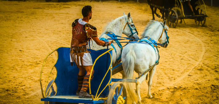 Origines et Histoire du Spectacle Équestre