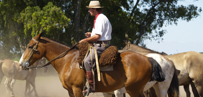 Festival de Doma y Folklore, Jesús María, Argentine