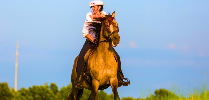 Les Artistes et les Chevaux