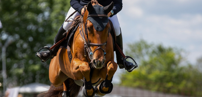 Les Disciplines Équestres Olympiques : Le saut d'obstacles