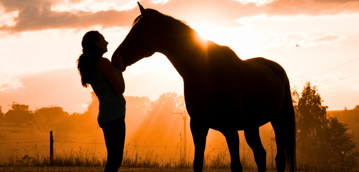 Le Cheval Médiateur et la Médiation Équine : Une Rencontre Harmonieuse entre l’Homme et l’Animal