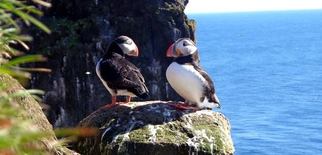 Rester connecté en Islande