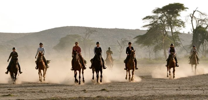 Bien choisir son cheval en fonction de sa personnalité