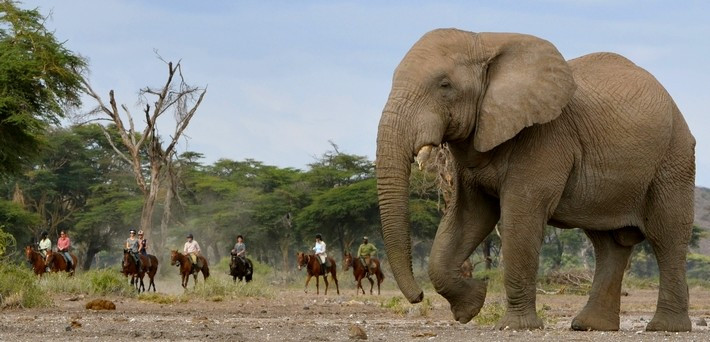 Safari à cheval en Tanzanie