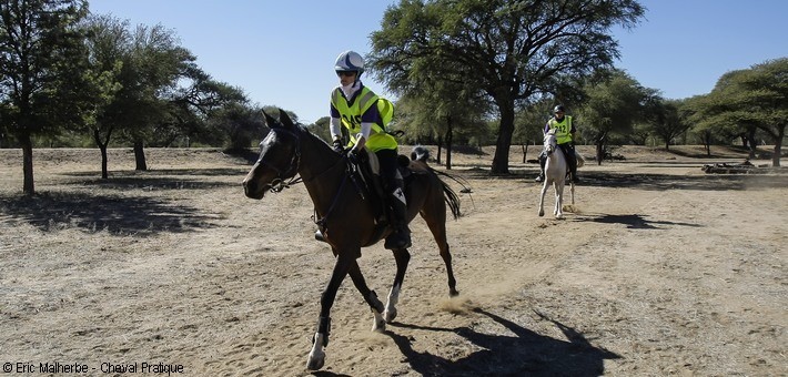 Origine de la course d'endurance à cheval