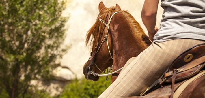 Niveau d'équitation