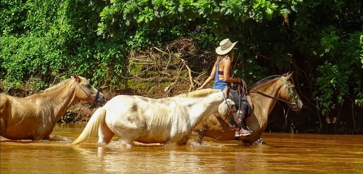 Mon cheval sait-il nager ?