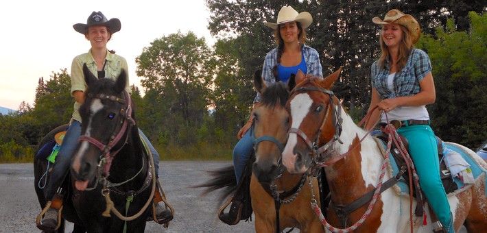 Caractéristiques du cheval canadien