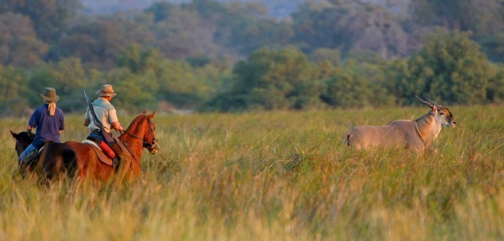 Est-ce qu’un safari à cheval est dangereux ?