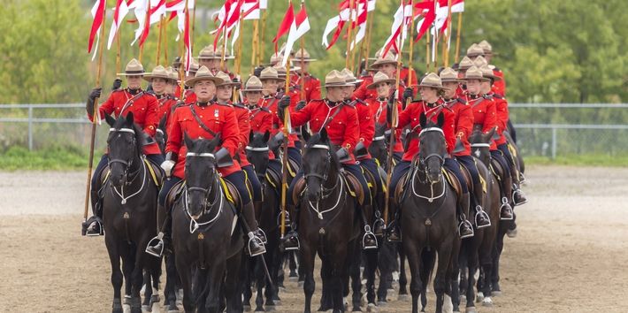 Le cheval national 