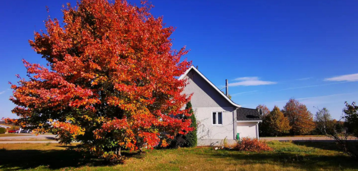 Cottage du ranch