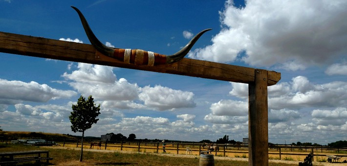 Le Petit Gîte du ranch