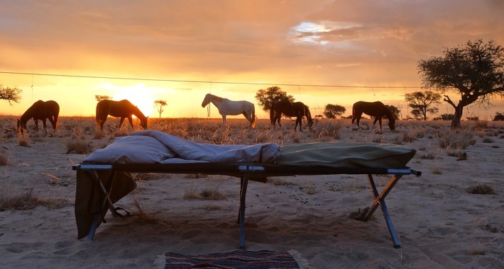 Bivouac de Namibie