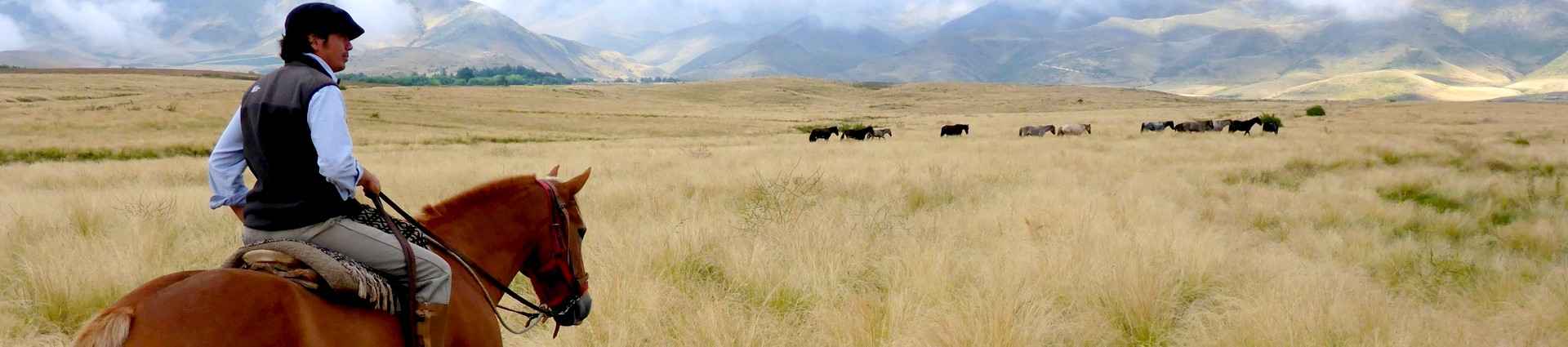 Voyages et randonnées à cheval en Argentine 