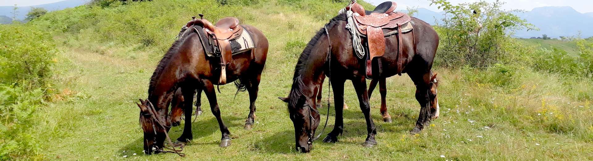 Voyages et randonnées à cheval en Bulgarie