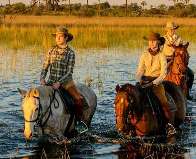 Voyages, randonnées et safaris à cheval au Botswana