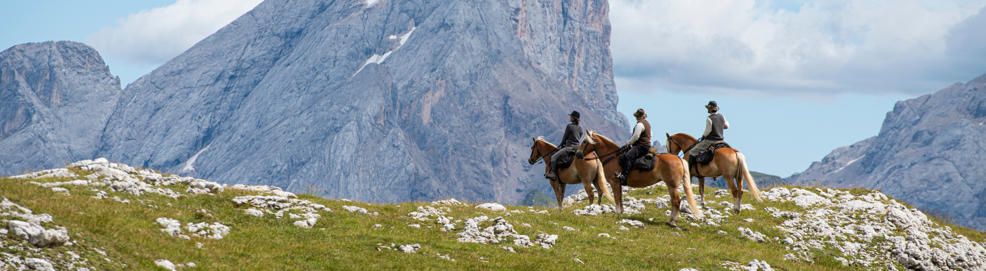 Voyage à cheval, séjour équestre