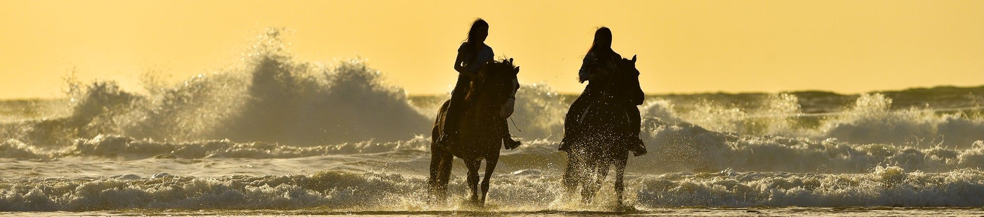 Randonnées équestres en Provence Côte d'Azur