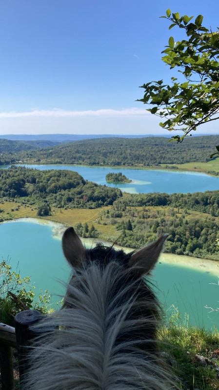 Avis de Mme Raoul - Voyage en Jura