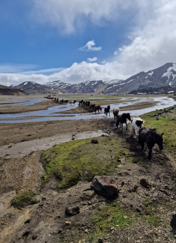 Avis de Marie - Voyage en Islande