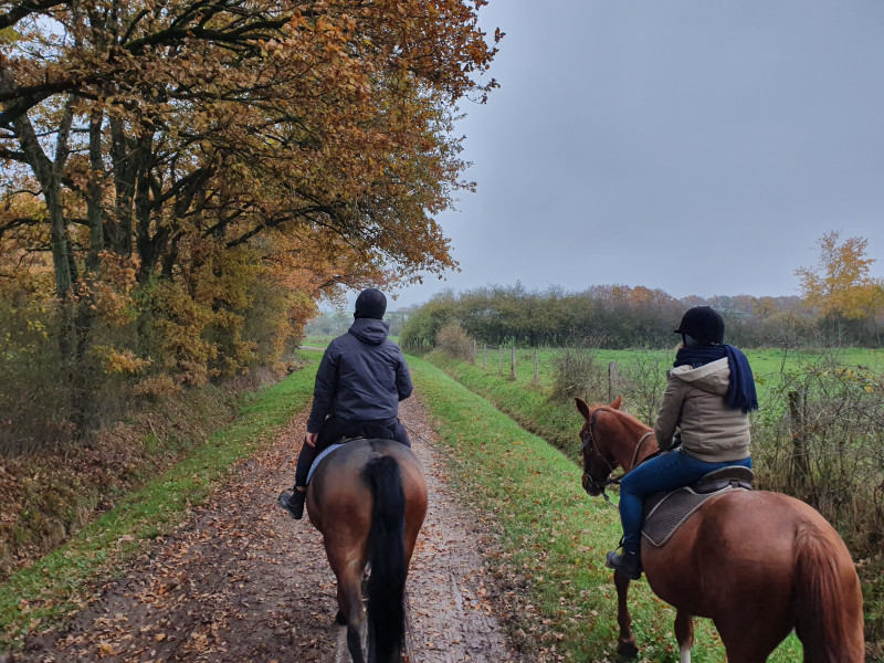 Avis de cecile - Voyage en Centre – Val de Loire