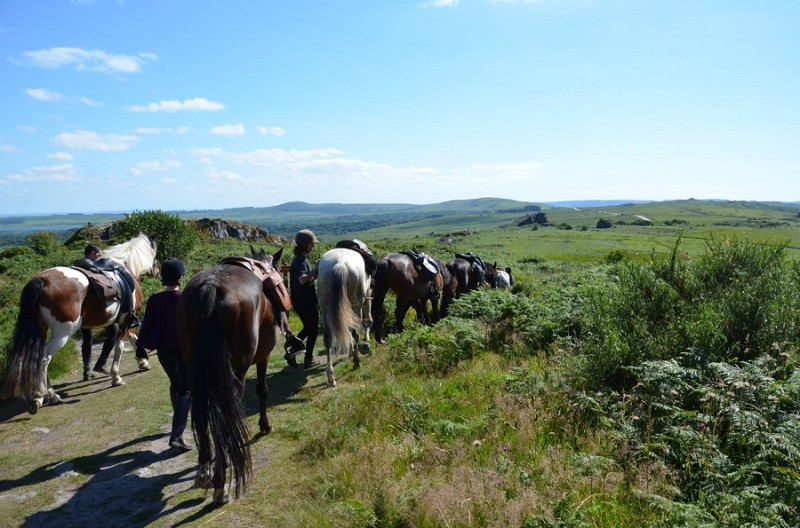 Avis de Julie - Voyage en Bretagne