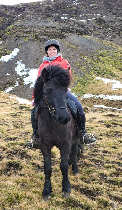 Avis de Stéphanie CHENET - Voyage en Islande