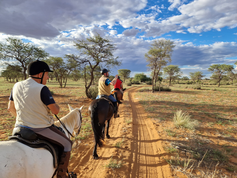 Avis de Vincent - Voyage en Namibie