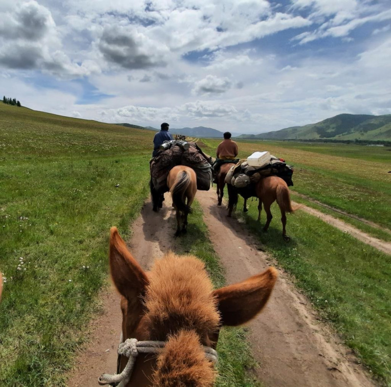 Avis de Philippe P - Voyage en Mongolie