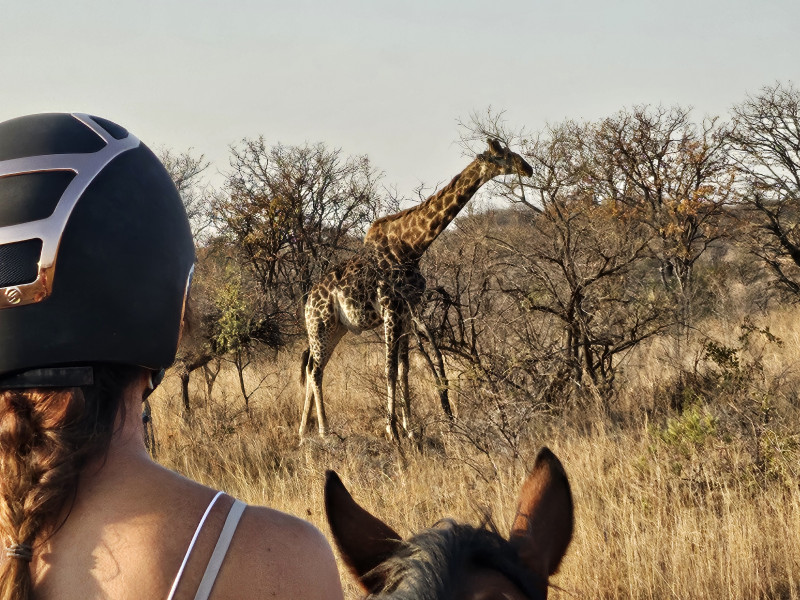 Avis de Joëlle - Voyage en Zimbabwe