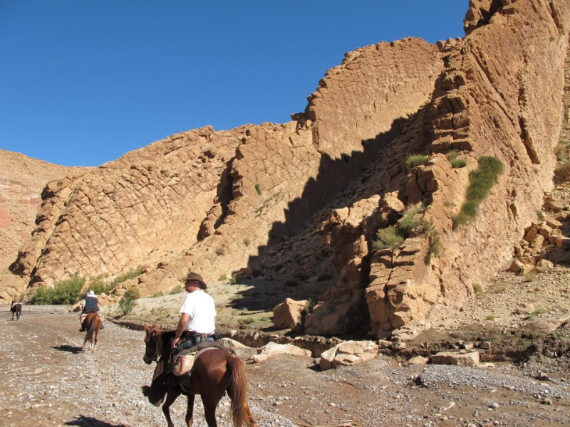 Avis de MERESSE LUC - Voyage en Maroc