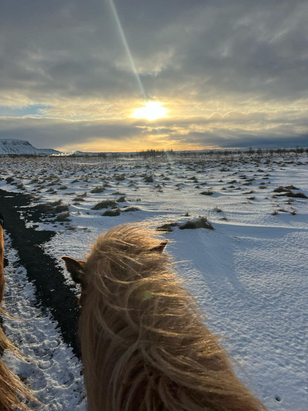 Avis de Marnie - Voyage en Islande