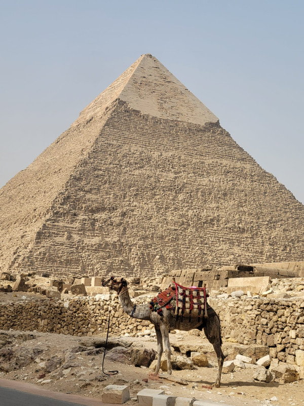 Avis de Fred deligny - Voyage en Egypte