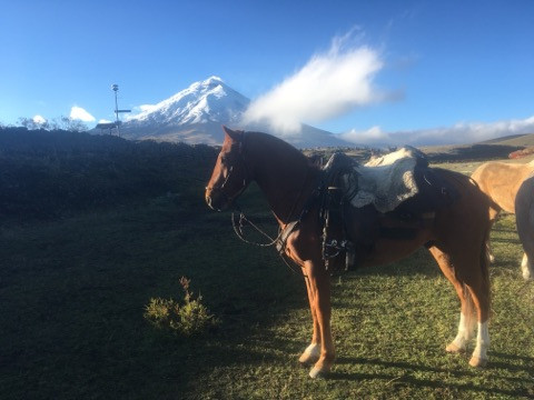 Avis de Serge - Voyage en Equateur