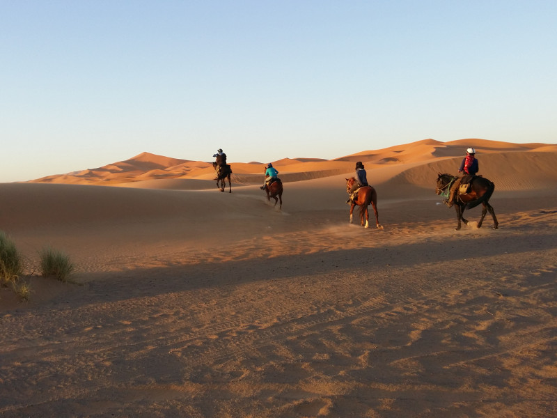 Avis de Caroline - Voyage en Maroc