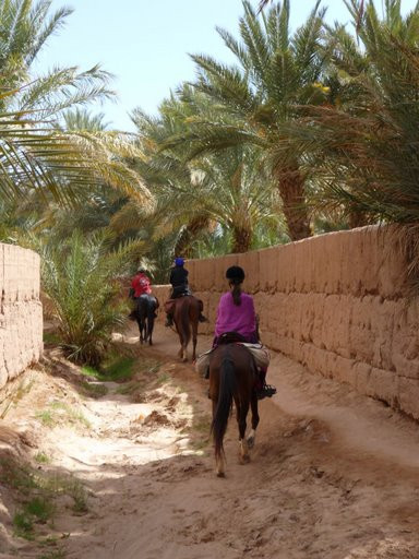 Avis de Elsa - Voyage en Maroc