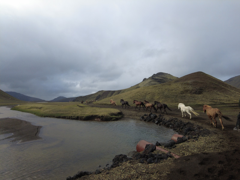 Avis de Marion - Voyage en Islande