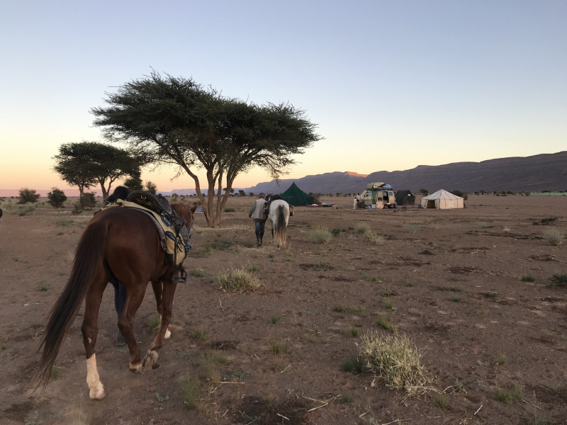 Avis de Helene - Voyage en Maroc