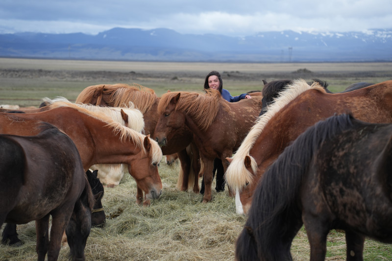 Avis de LOBET - Voyage en Islande