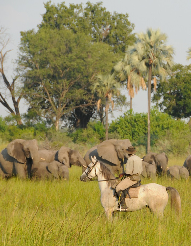 Avis de Anne - Voyage en Botswana