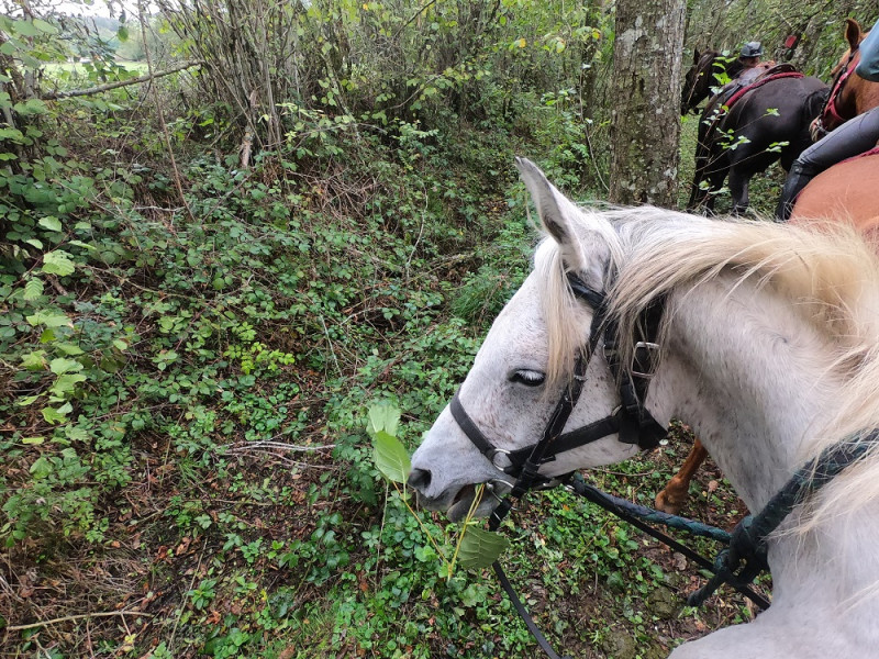 Avis de Laura - Voyage en Bourgogne