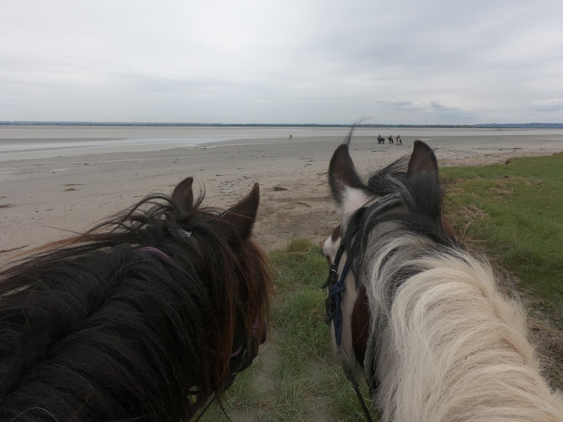 Avis de Michel L - Voyage en Normandie - Mont St Michel